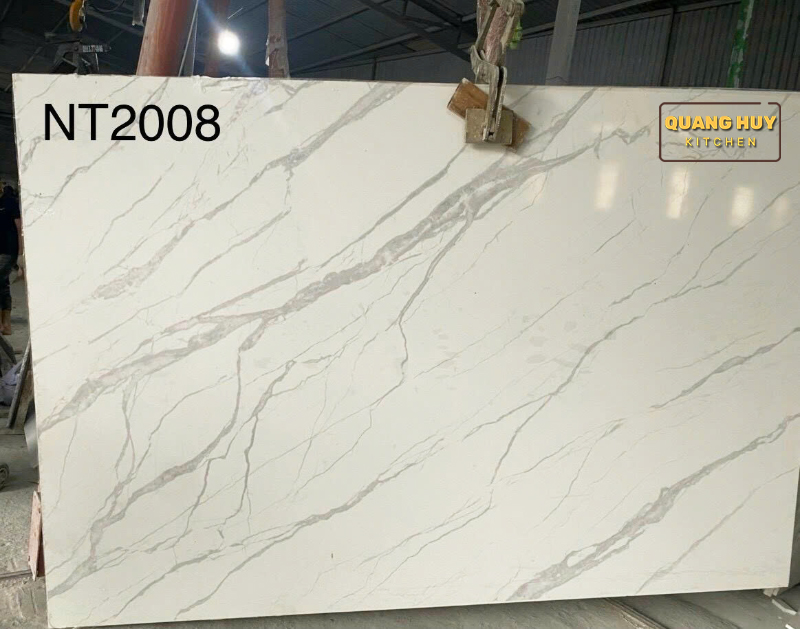 da-nhan-tao-nt-2008-1