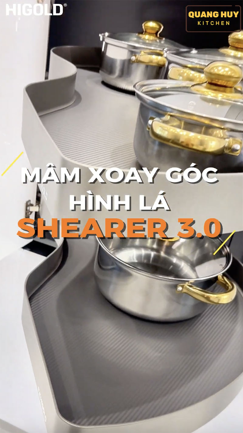 mam-xoay-hinh-la-3-0-higold-17