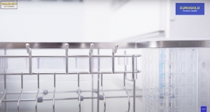 moc-cai-gia-dao-thot-eurogold-inox-304