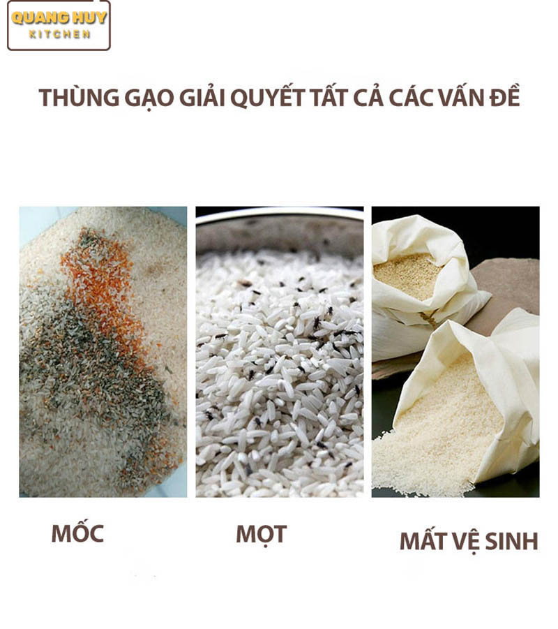 loi-ich-thung-gao-dien-tu-eurogold-mat-guong